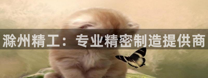 彩神是正规平台吗知乎：滁州精工：专业精密制造提供商