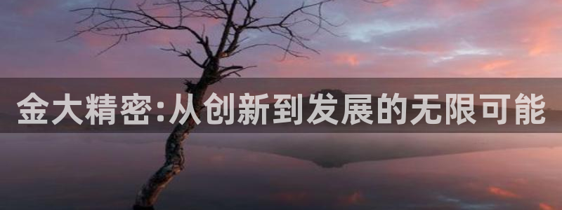 彩神可以提现吗：金大