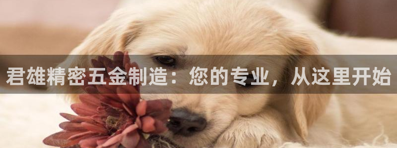 彩神v：君雄精密五金