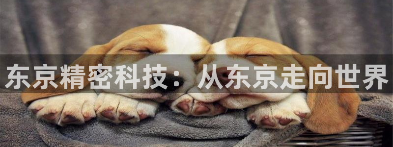 彩神是怎样一个平台赚钱的：东京精密科技：从东京走向世界