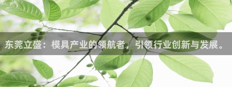 彩神vi争霸官网