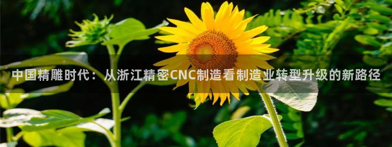 下载彩神乐发V：中国精雕时代：从浙江精密CNC制造看制造业转型升级的新路径