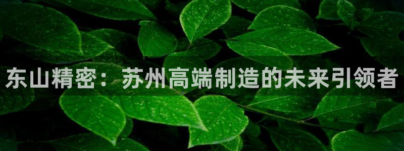 彩神v8有多久了?靠谱吗：东山精密：苏州高端制造的未来引领者