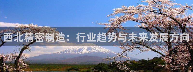彩神velcome购彩大厅：西北精密制造：行业趋势与未来发展方向