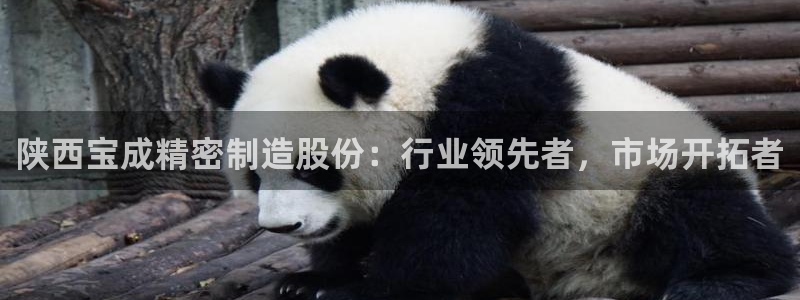 彩神大发cp：陕西宝成精密制造股份：行业领先者，市场开拓者