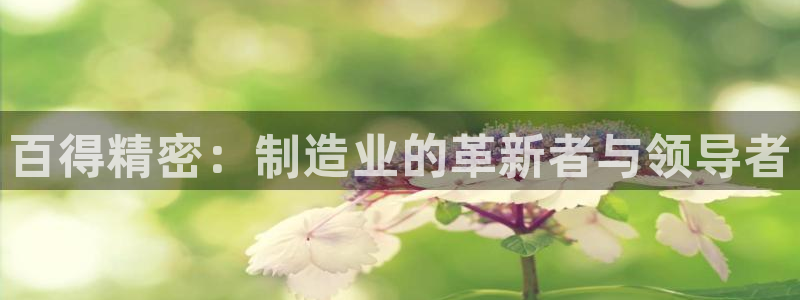 彩神V8有限公司：百得精密：制造业的革新者与领导者