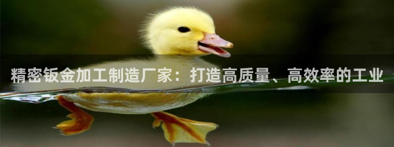 彩神8官网版是正规的吗