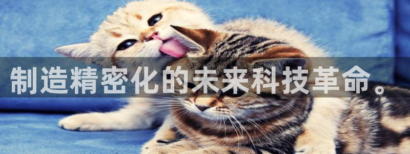 彩神8最新版下载：制造精密化的未来科技革命。