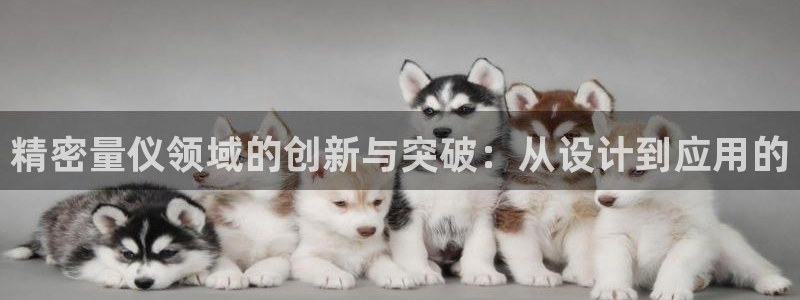 彩神V集团公司：精密