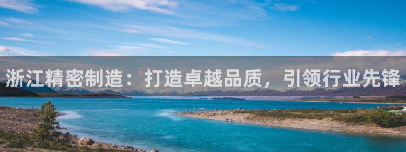 彩神iv是正规平台吗?：浙江精密制造：打造卓越品质，引领行业先锋