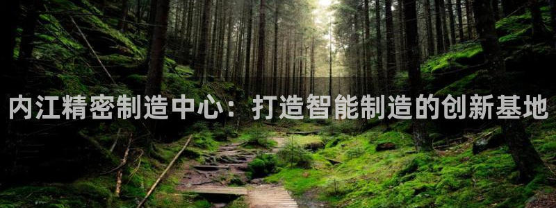 彩神是什么平台：内江精密制造中心：打造智能制造的创新基地