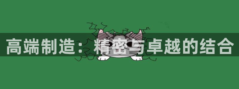 彩神vⅲ下载安装：高端制造：精密与卓越的结合