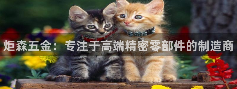 新版彩神v8登录不了：炬森五金：专注于高端精密零部件的制造商