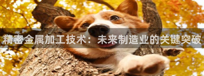 彩神v大众娱乐：精密金属加工技术：未来制造业的关键突破