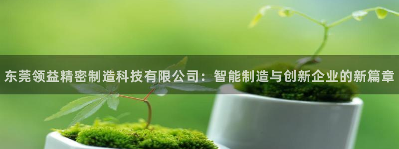 彩神v：东莞领益精密制造科技有限公司：智能制造与创新企业的新篇章