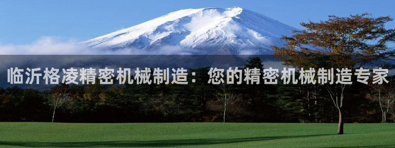 彩神是真的吗：临沂格凌精密机械制造：您的精密机械制造专家