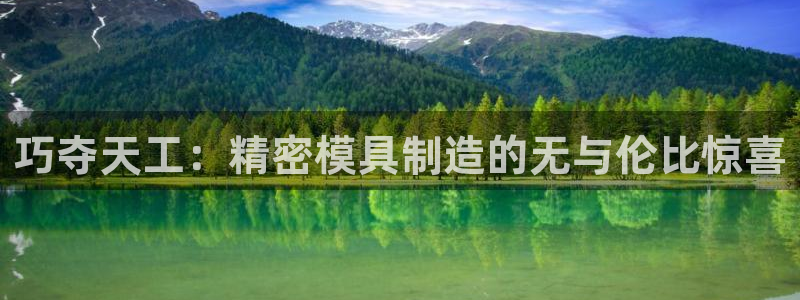 下载彩神争霸谁与我争锋：巧夺天工：精密模具制造的无与伦比惊喜