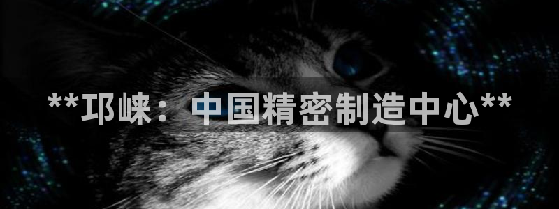 彩神vii手游下载：**邛崃：中国精密制造中心**