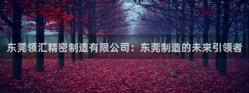 彩神v8手机客户端：东莞领汇精密制造有限公司：东莞制造的未来引领者