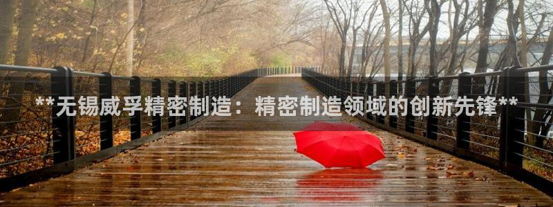 彩神8是正规平台吗安全吗：**无锡威孚精密制造：精密制造领域的创新先锋**