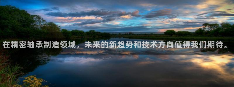 彩神app赚钱是真是假：在精密轴承制造领域，未来的新趋势和技术方向值得我们期待。