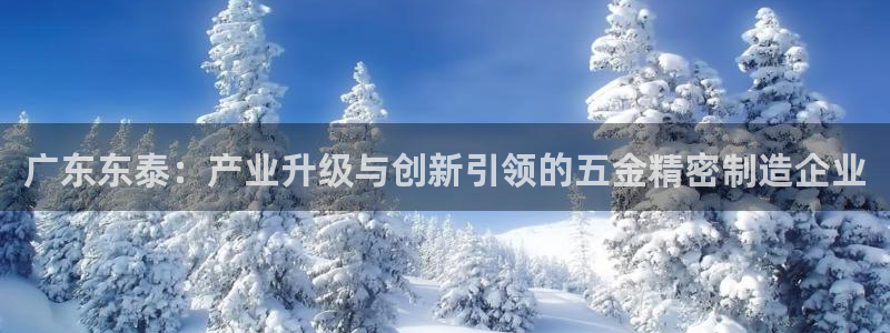 彩神vll购彩大厅：广东东泰：产业升级与创新引领的五金精密制造企业