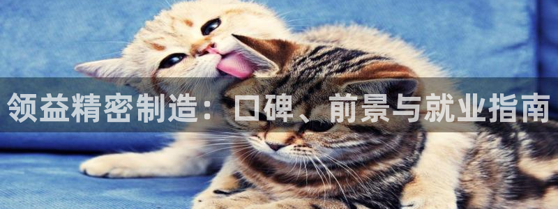 彩神iv是正规平台吗?：领益精密制造：口碑、前景与就业指南