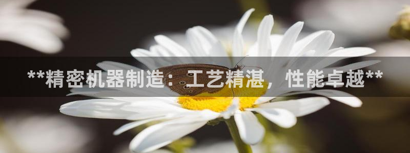 彩神8官网合法吗