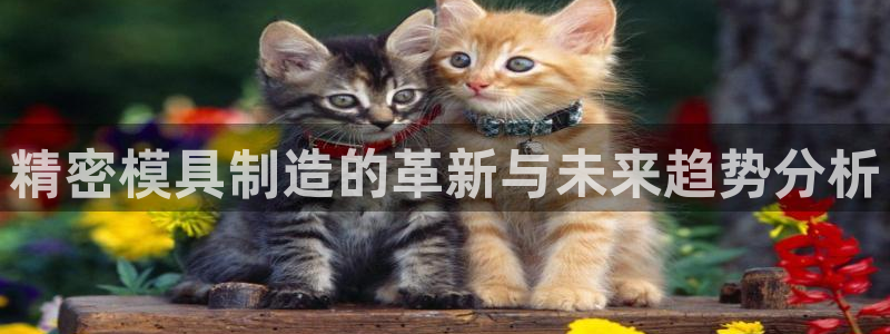 彩神vll首页环球：精密模具制造的革新与未来趋势分析