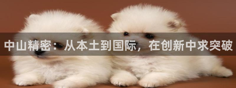 彩神vll首页环球：中山精密：从本土到国际，在创新中求突破