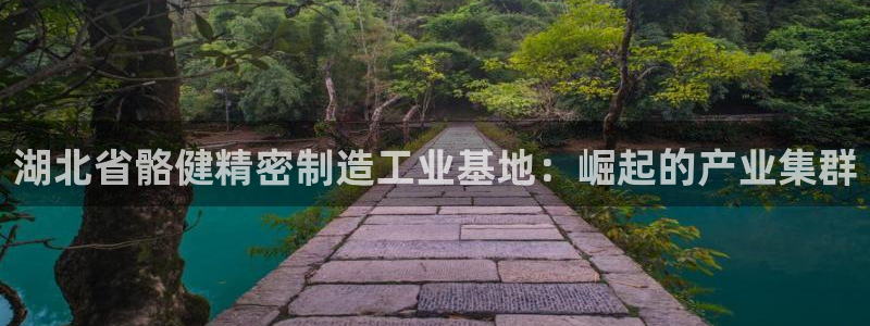 彩神v8手机客户端怎么下载：湖北省骼健精密制造工业基地：崛起的产业集群