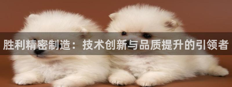 彩神vll购彩大厅：胜利精密制造：技术创新与品质提升的引领者