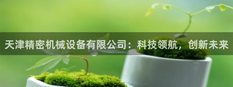 彩神是真的吗：天津精密机械设备有限公司：科技领航，创新未来